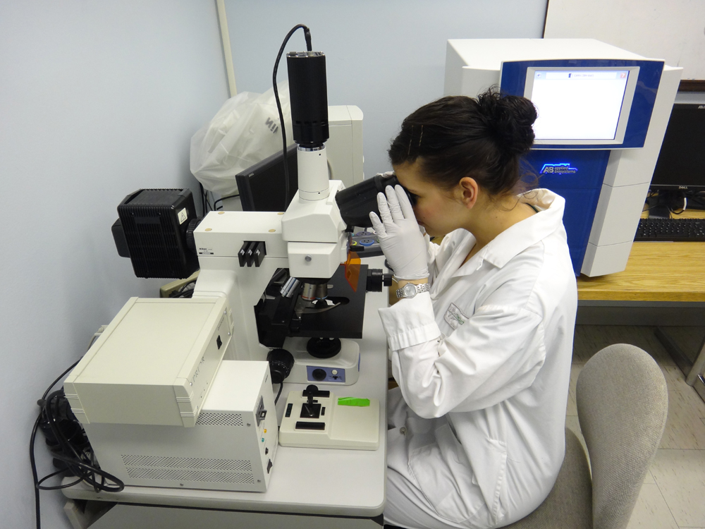 Using the Microscope in the Epigenetics Lab