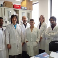 The Research Team